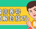 2020最新微信养号防封解封技巧,再也不用担心微信号被封,快速解封你的微信号!-52资源库
