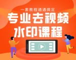 专业去视频水印教程 静态水印、动态水印、文字水印、图片水印一套教程通通搞定-52资源库