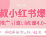 狼叔小红书爆款推广引流训练课4.0,手把手带你玩转小红书-52资源库