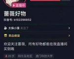 爆抖联盟蔷薇好物连怼100技术,一天连怼上百个视频,单场直播平均带货30万玩法-52资源库