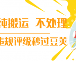 抖音纯搬运 不处理 小技巧,30秒发一个作品,避免违规评级秒过豆荚-52资源库