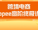 2020跨境电商蓝海新机会-SHOPEE大卖特训营:高阶终极课程(16节课)-52资源库