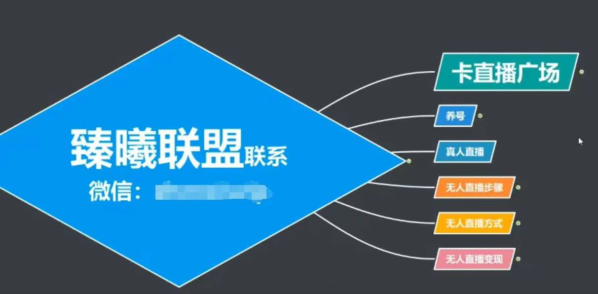 臻曦联盟，最新无人直播万人在线技术理原及详细操作步骤解析（视频教程）-52资源库