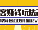 淘客赚钱玩法2.0,阳光绿色超正规项目,月躺赚2W+【视频课程】-52资源库