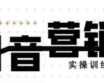 《12天线上抖音营销实操训练营》通过框架布局实现自动化引流变现-52资源库