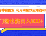 抖音上神秘副业项目,利用明星效应赚钱和截流,无门槛也能日入800+-52资源库