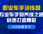 职业车手训练营:专业车手的养成之路,快速打造爆款(8节-无水印直播课)-52资源库