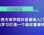 抖音基础入门班:小白0基础学习打造一个高权重赚钱的抖音号-52资源库