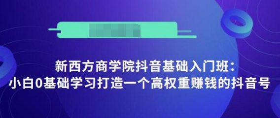 抖音基础入门班：小白0基础学习打造一个高权重赚钱的抖音号-52资源库