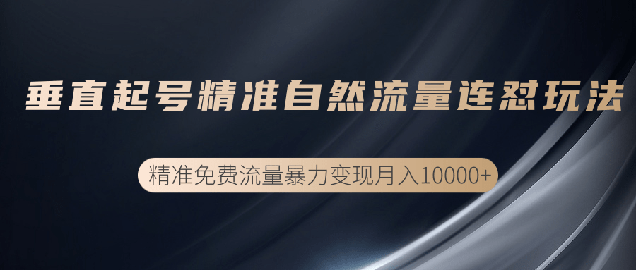 垂直起号精准自然流量连爆玩法，精准引流暴力变现月入10000+-52资源库