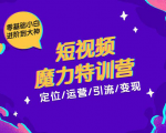 零基础小白进阶到大神《短视频魔力特训营》定位-运营-引流-变现-52资源库