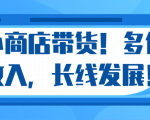 微信小商店带货,爆单多倍收入,长期复利循环!日赚300-800元不等-52资源库