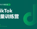 2020最新TikTok流量增长训练营(完结)附PPT-52资源库