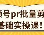 视频号PR批量剪辑0基础实操课,PR批量处理伪原创一分钟一个视频【共2节】-52资源库