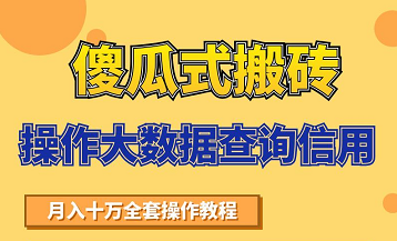 搬砖操作大数据查询信用项目赚钱教程，祝你快速月入6万-52资源库
