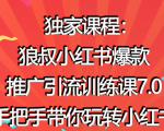 狼叔小红书爆款推广引流训练课7.0,手把手带你玩转小红书-52资源库