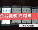 野路子小红书视频号1.0项目,直接上手操作就能赚钱的视频号项目-52资源库