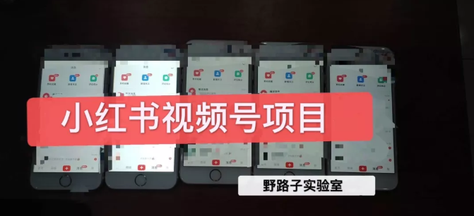 野路子小红书视频号1.0项目，直接上手操作就能赚钱的视频号项目-52资源库