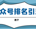 胜子老师微信公众号排名引流,微信10亿月活用户引流方法-52资源库