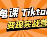 龟课·TikTok变现实战训练营线上第1期，多种变现模式，轻松赚美刀-52资源库