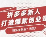 拼多多新人打造爆款创业课:快速引流持续出单,适用于所有新人-52资源库