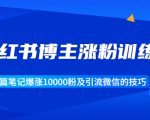 小红书博主涨粉训练营:一篇笔记爆涨10000粉及引流微信的技巧-52资源库
