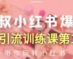 狼叔小红书爆款推广引流训练课第12期,手把手带你玩转小红书-52资源库