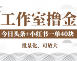 工作室撸金二件套:撸今日头条原创收益+小红书一单利润40块项目-52资源库