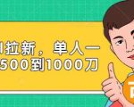 Paypal拉新赚美刀项目，单人一天利润500-1000刀【视频课程】-52资源库