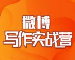 村西边老王·微博超级写作实战营,帮助你粉丝猛涨价值999元-52资源库