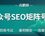 高鹏圈公众号SEO矩阵号群,实操20天纯收益25000+,普通人都能做-52资源库