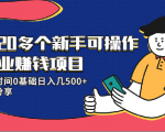 20多个新手可操作的副业赚钱项目：业余时间0基础日入几500+实操分享-52资源库