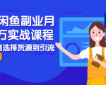 2021闲鱼副业月入过万实战课程:从开店到选择货源到引流,全程实战教学-52资源库