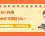 生财小红书涨粉变现:新账号从0开始3个月小红书涨粉5W+实现单篇爆粉-52资源库