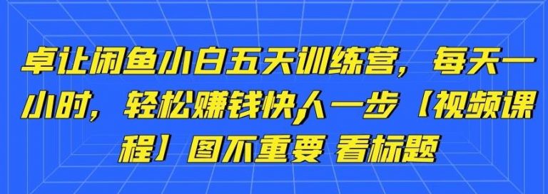 卓让闲鱼小白五天训练营，每天一小时，轻松赚钱快人一步-52资源库