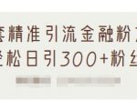 1套精准引流金融粉方法，轻松日引300+粉丝-52资源库