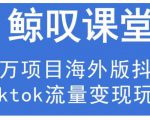 鲸叹号·海外TIKTOK训练营,百万项目海外版抖音tiktok流量变现玩法-52资源库