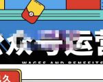 零零已久·从0-1运营公众号,零基础小白也能上手,系统性了解公众号运营-52资源库