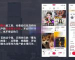 麦子互娱短视频带货·0基础做好物分享账号,无需出镜无需货源无需拍摄-52资源库