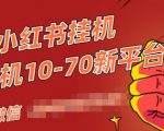 视频号小红书抖音挂机项目,小白无脑操作,按照要求来,单号每天几十米-52资源库