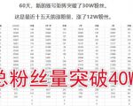 倪叶明·蓝海公众号矩阵项目训练营,0粉冷启动,公众号矩阵账号粉丝突破30w-52资源库