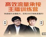 高效流量承接主播训练营:快速提升主播能力,实现100万销售直播间-52资源库