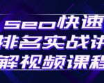seo快速排名实战讲解视频课程,揭秘seo快排原理-52资源库