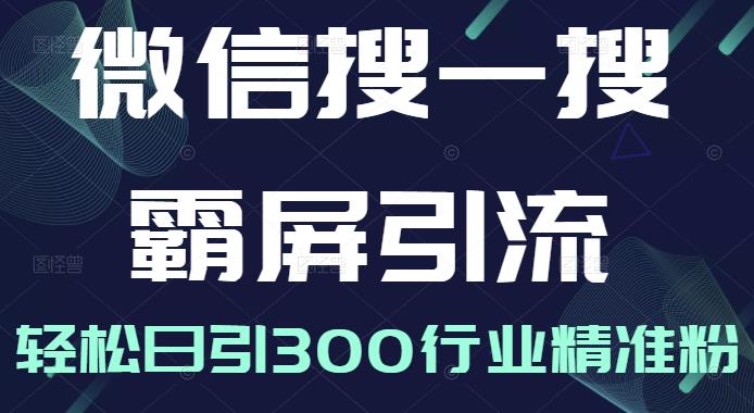 微信搜一搜霸屏引流课，打造被动精准引流系统，轻松日引300行业精准粉-52资源库
