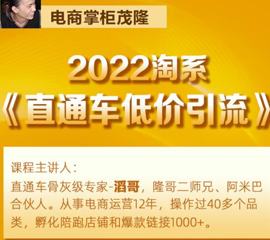 茂隆2022直通车低价引流玩法，教大家如何低投入高回报的直通车玩法-52资源库