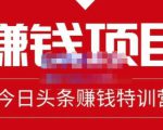 懒人领域·今日头条项目玩法,头条中视频项目,单号收益在50—500可批量-52资源库