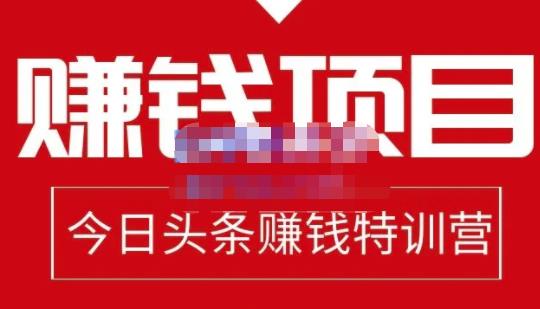 懒人领域·今日头条项目玩法，头条中视频项目，单号收益在50—500可批量-52资源库