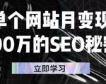 单个网站月变现100万的SEO秘密,百分百做出赚钱站点-52资源库