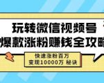 玩转微信视频号爆款涨粉赚钱全攻略,快速涨粉百万变现万元秘诀-52资源库