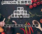 漆十二美食摄影，25​节promovie实操高手课节-52资源库
